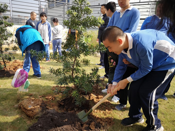 1552895242154065541.jpg 5.jpg