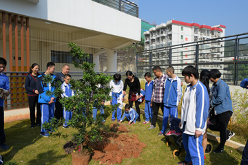 1552895263724024668.jpg 8.jpg