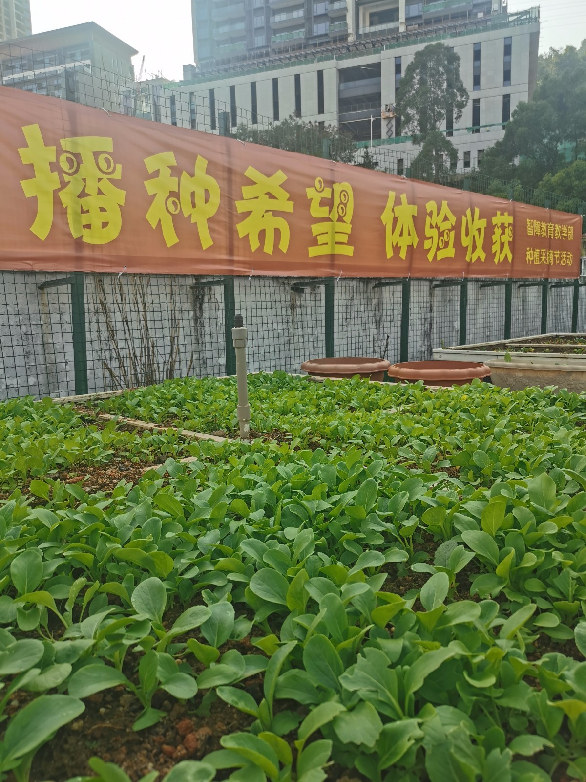 图片17.jpg